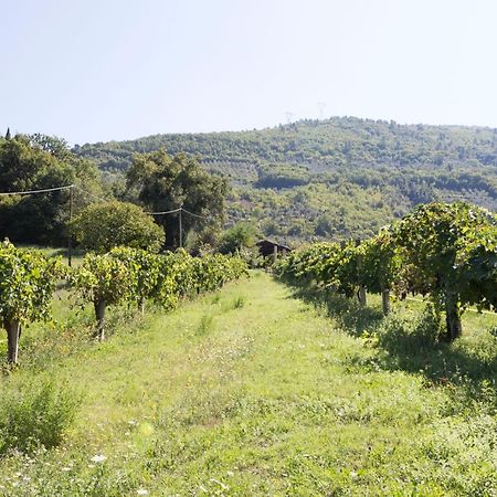 פרנטילו Agriturismo I Melograni מראה חיצוני תמונה