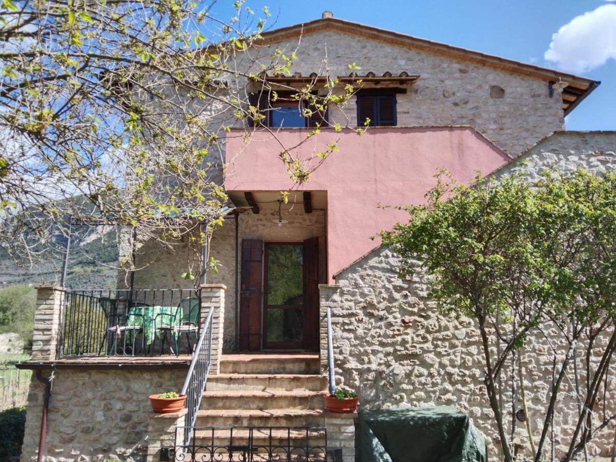 פרנטילו Agriturismo I Melograni מראה חיצוני תמונה