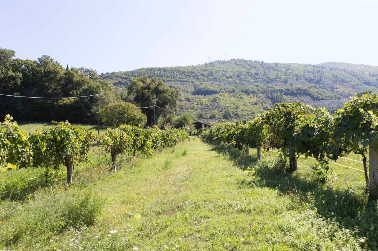 פרנטילו Agriturismo I Melograni מראה חיצוני תמונה