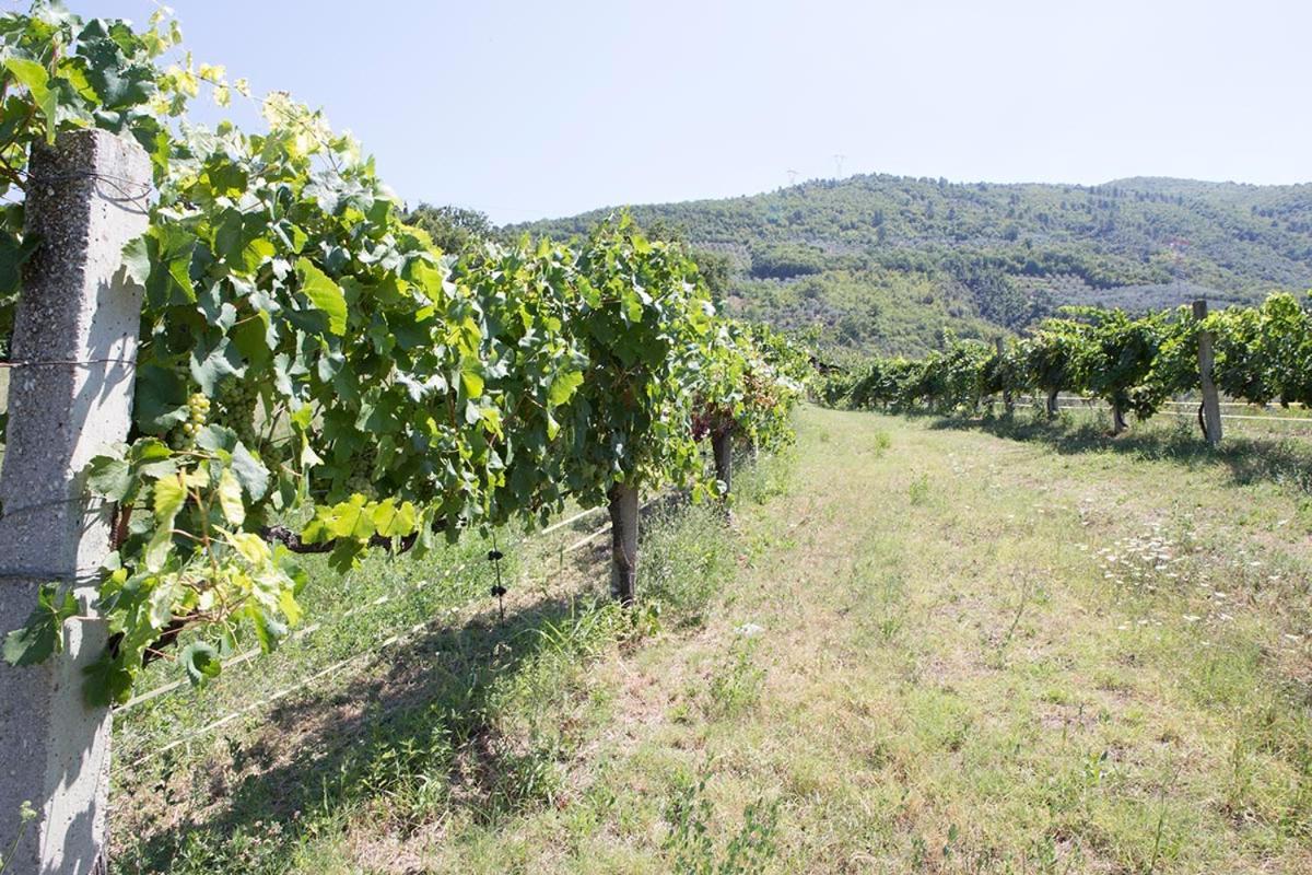 פרנטילו Agriturismo I Melograni מראה חיצוני תמונה
