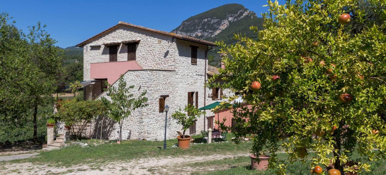 פרנטילו Agriturismo I Melograni מראה חיצוני תמונה