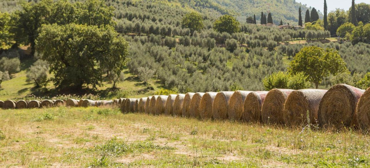 פרנטילו Agriturismo I Melograni מראה חיצוני תמונה