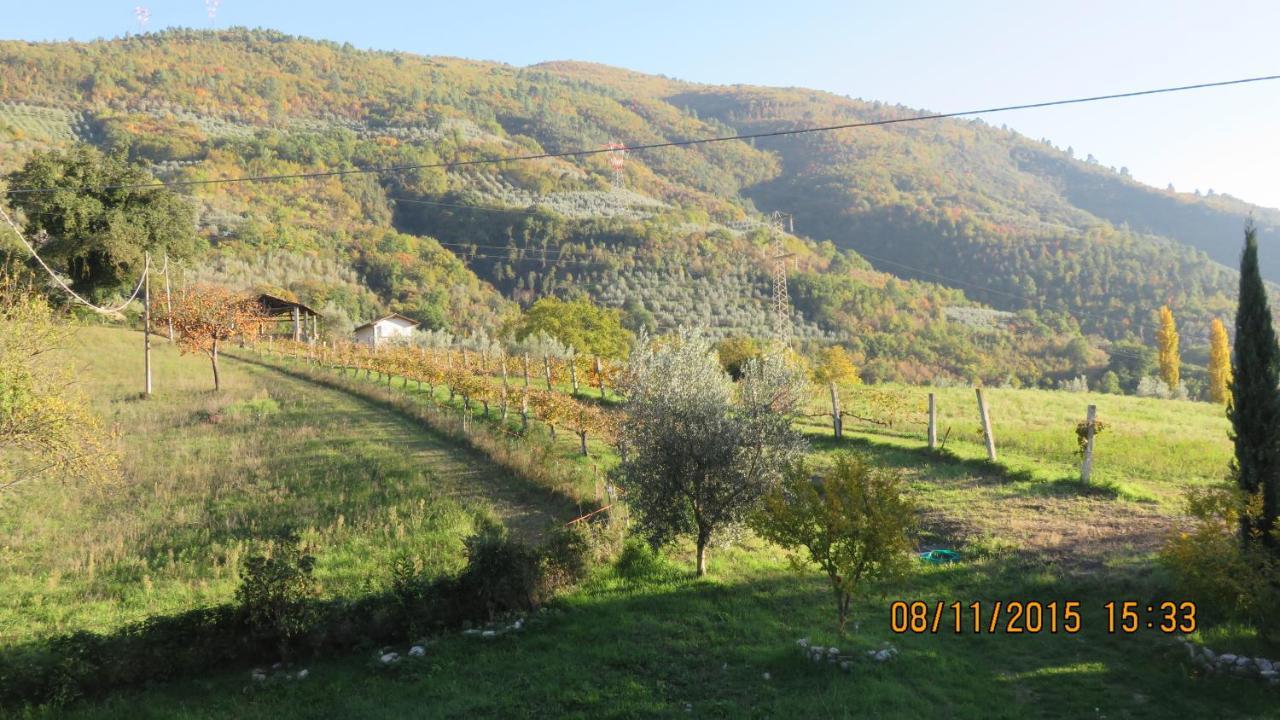 פרנטילו Agriturismo I Melograni מראה חיצוני תמונה