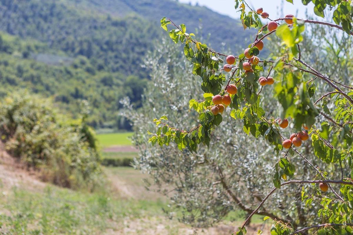 פרנטילו Agriturismo I Melograni מראה חיצוני תמונה