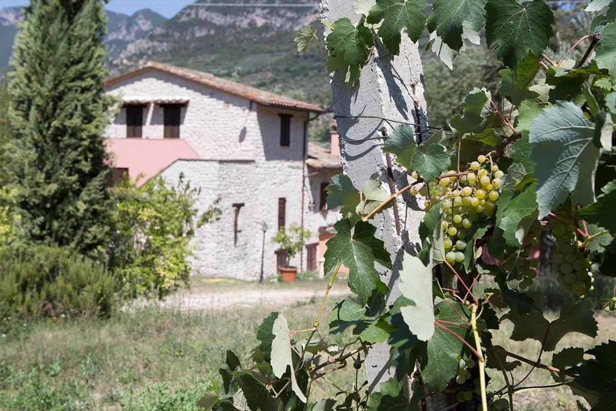 פרנטילו Agriturismo I Melograni מראה חיצוני תמונה