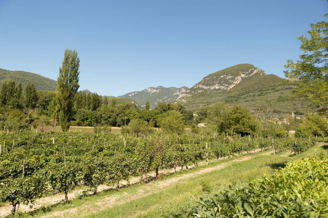 פרנטילו Agriturismo I Melograni מראה חיצוני תמונה