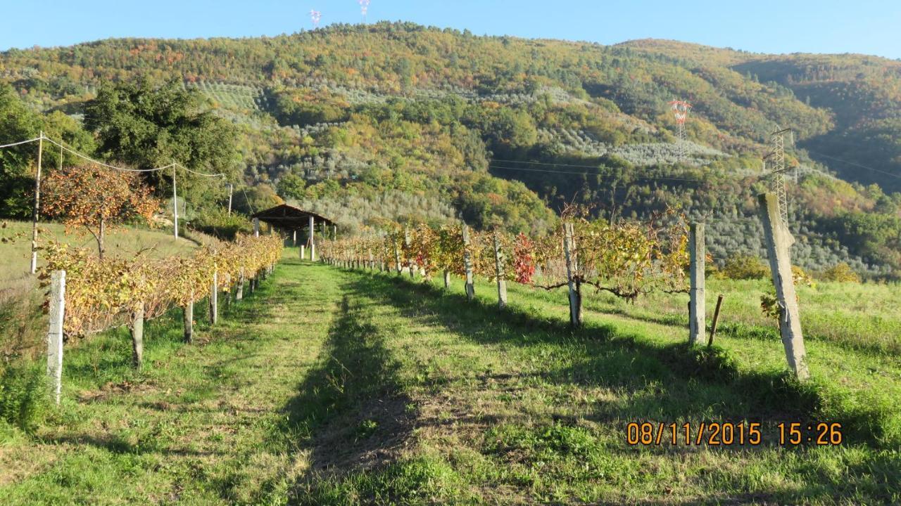 פרנטילו Agriturismo I Melograni מראה חיצוני תמונה
